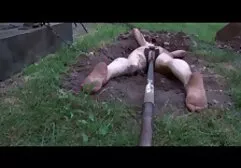 Sexy cale darmowe filmy erotyczne romans młoda kobieta